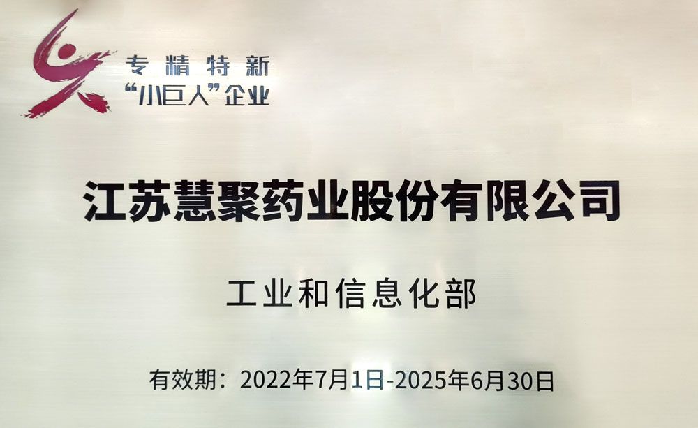 2022國家專精特新小巨人
